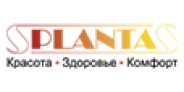 Planta