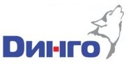 Динго